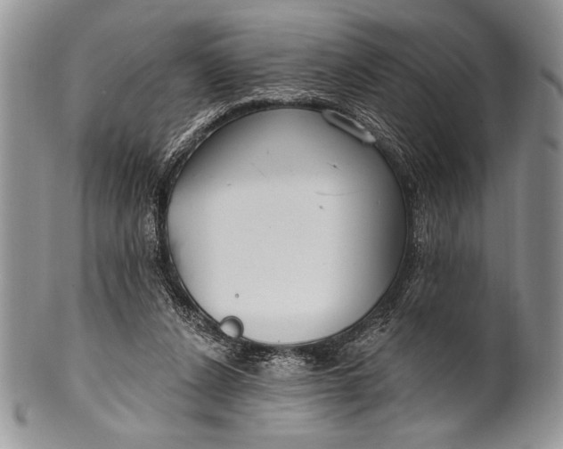 X0000100360256200806201611