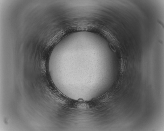 X0000100360258200806201611