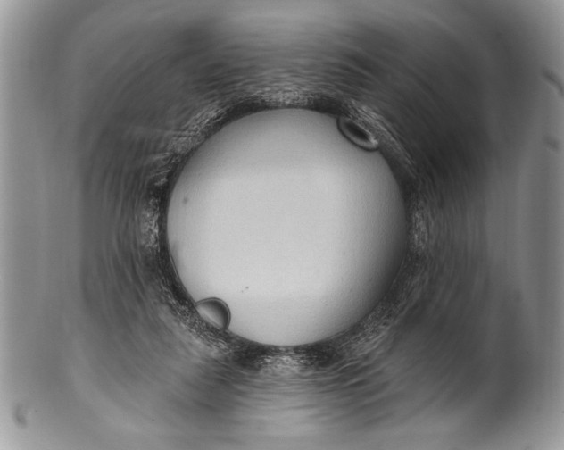 X0000100360259200806201611