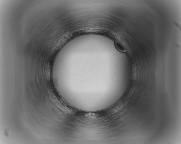 X0000100360261200806201611