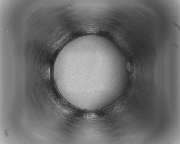 X0000100360262200806201611