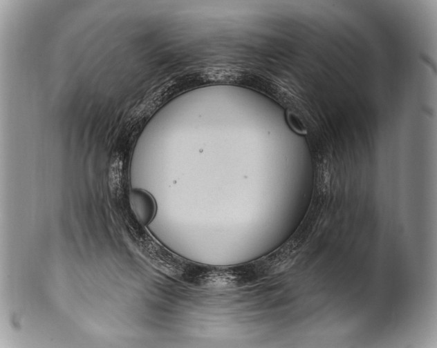 X0000100360263200806201611