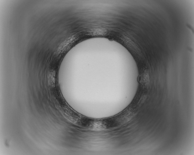 X0000100360264200806201611