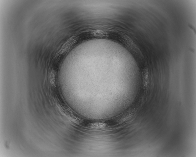 X0000100360266200806201611