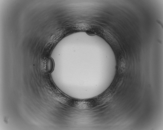 X0000100360268200806201611