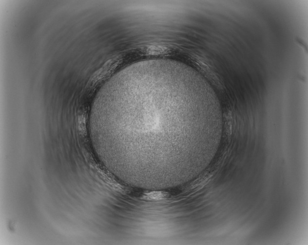 X0000100360269200806201611