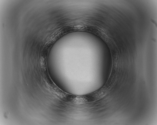 X0000100360270200806201611