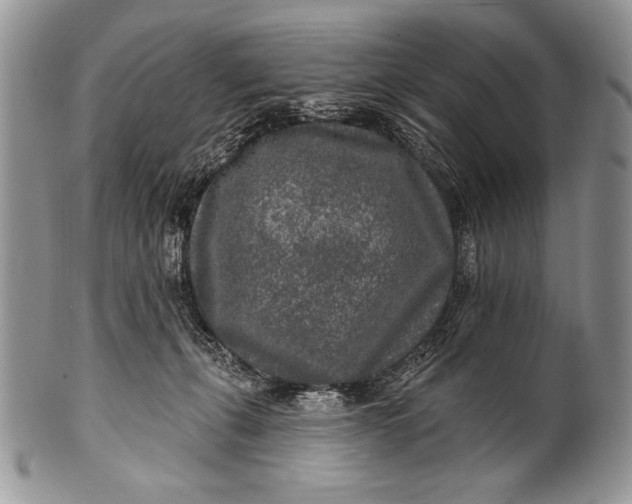 X0000100360271200806201611