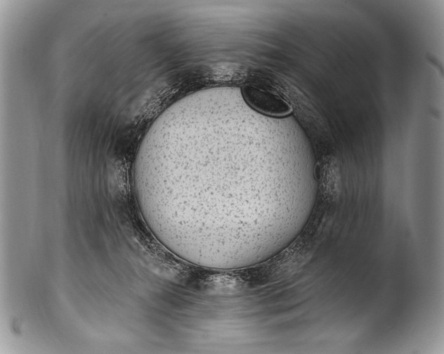 X0000100360272200806201611