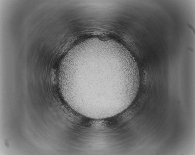 X0000100360273200806201611