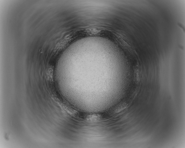 X0000100360274200806201611