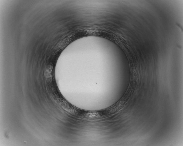 X0000100360275200806201611