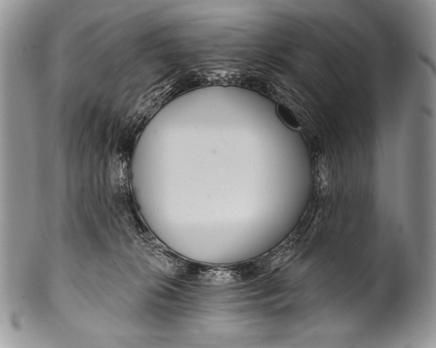 X0000100360276200806201611