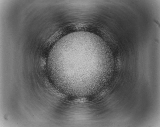 X0000100360278200806201611