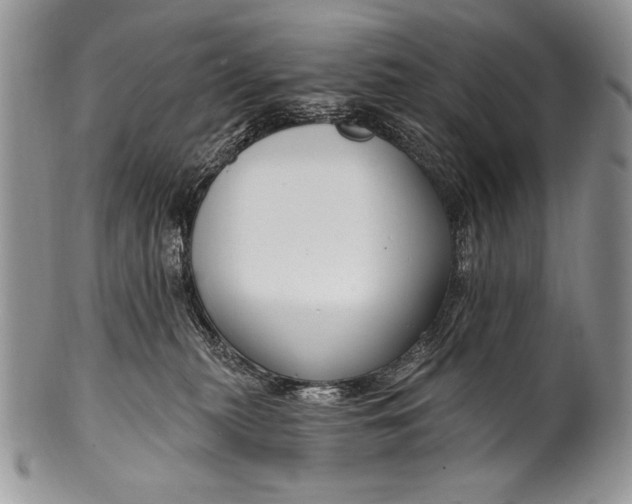 X0000100360279200806201611