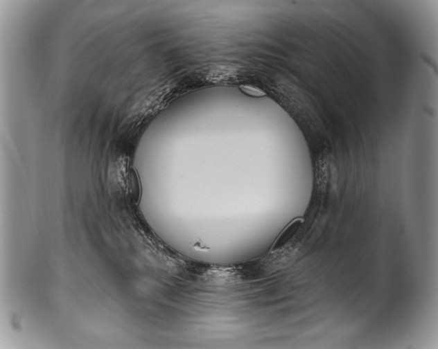 X0000100360280200806201611