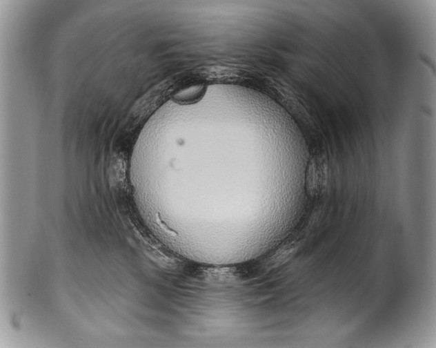 X0000100360281200806201611