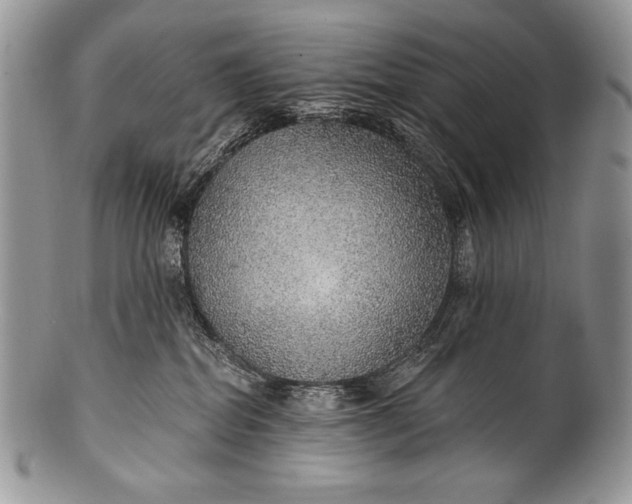 X0000100360282200806201611