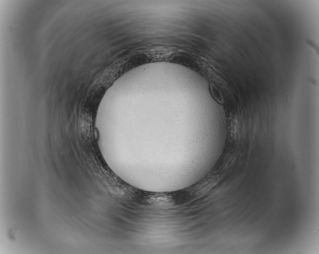 X0000100360283200806201611