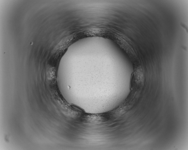 X0000100360284200806201611