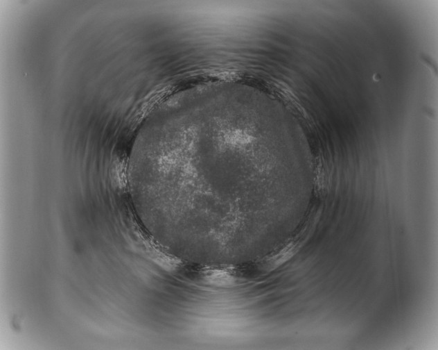 X0000100360285200806201611