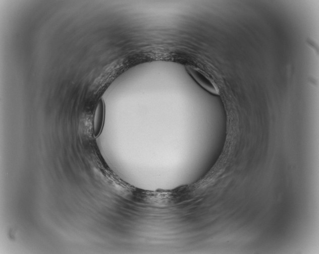 X0000100360288200806201611