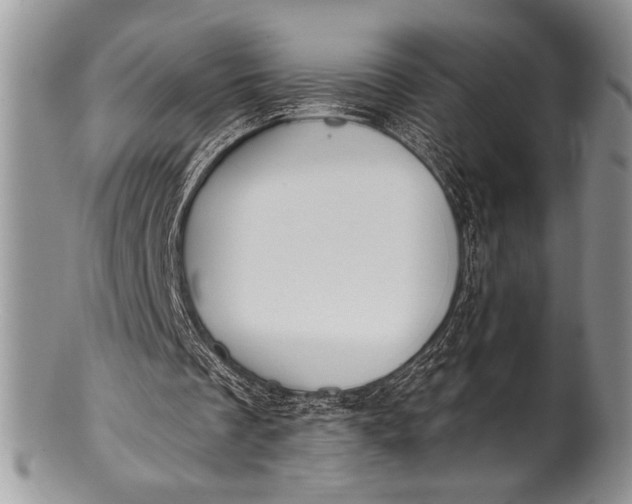 X0000100360289200806201611