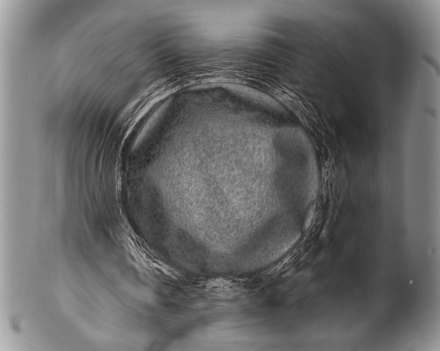 X0000100360290200806201611