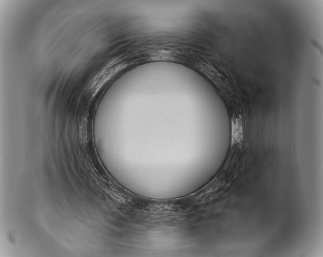 X0000100360291200806201611