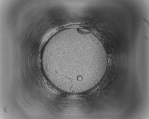 X0000100360293200806201611