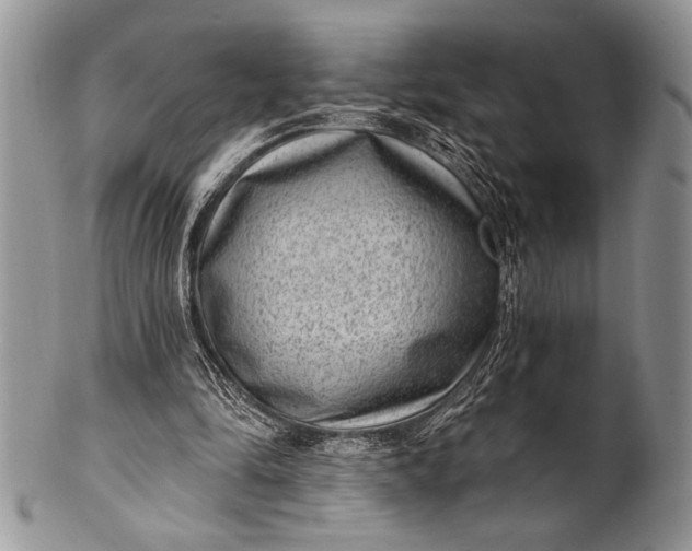 X0000100360294200806201611