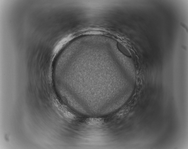 X0000100360296200806201611