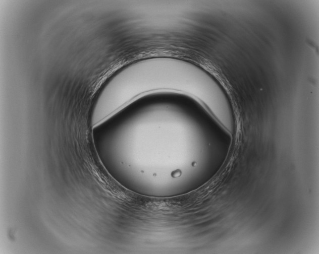 X0000100360297200806201611