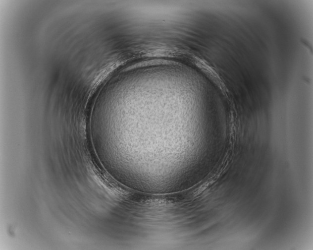 X0000100360298200806201611