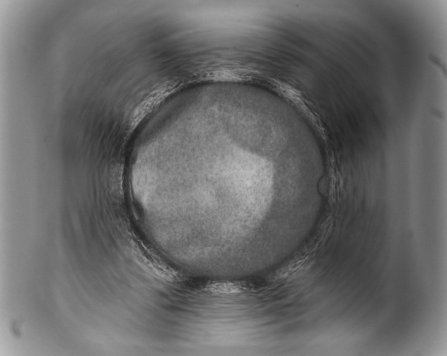 X0000100360299200806201611