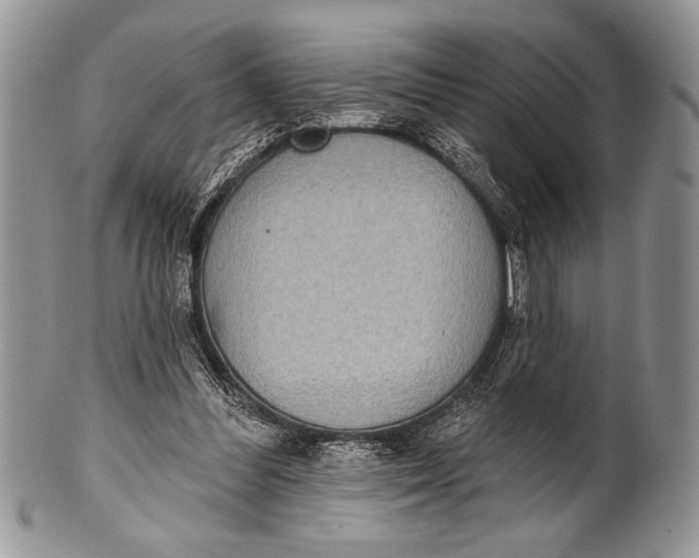 X0000100360300200806201611