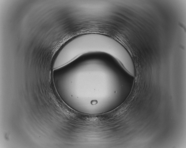 X0000100360301200806201611