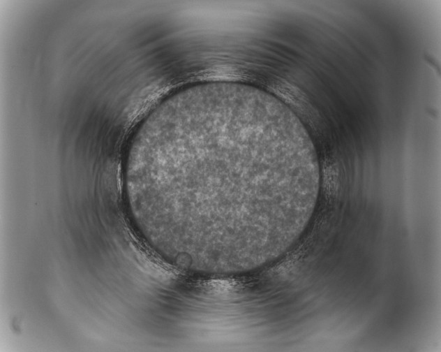 X0000100360302200806201611