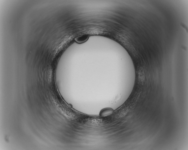 X0000100360304200806201611