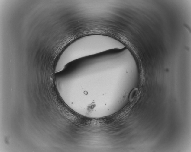 X0000100360305200806201610