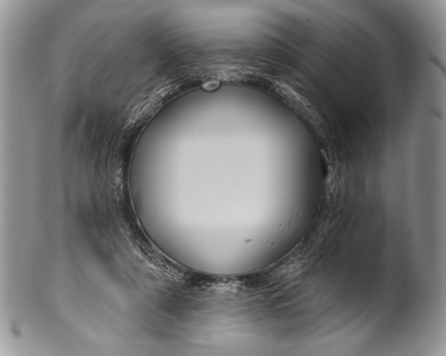 X0000100360306200806201610