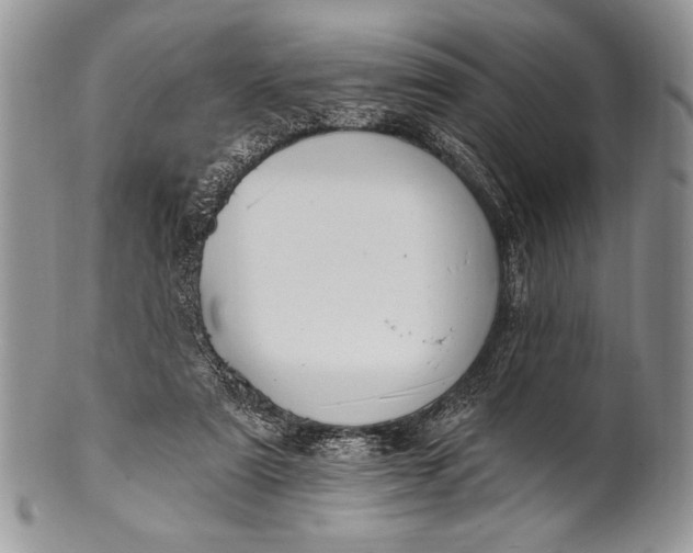 X0000100360307200806201610