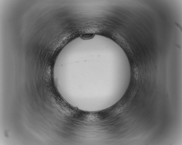 X0000100360308200806201610