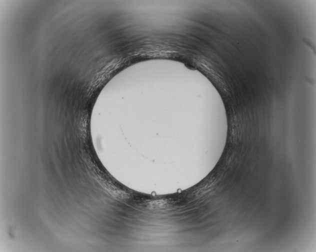 X0000100360309200806201610