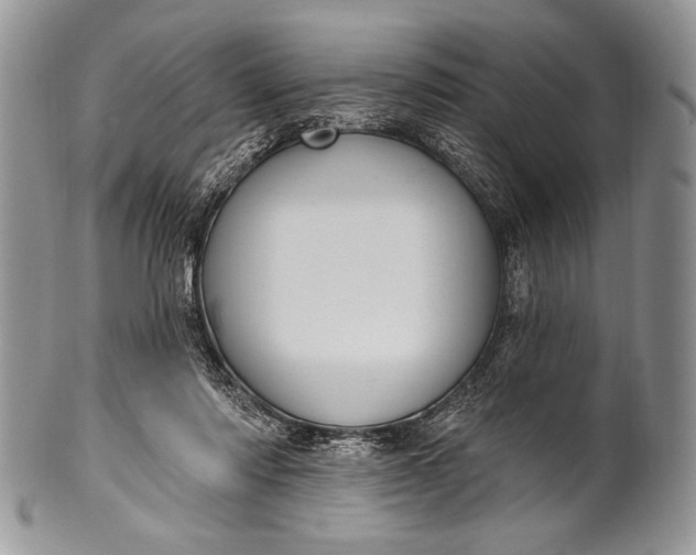 X0000100360310200806201610