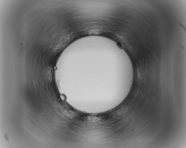 X0000100360311200806201610