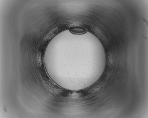 X0000100360312200806201610