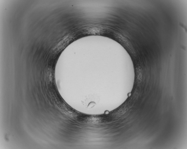 X0000100360313200806201610