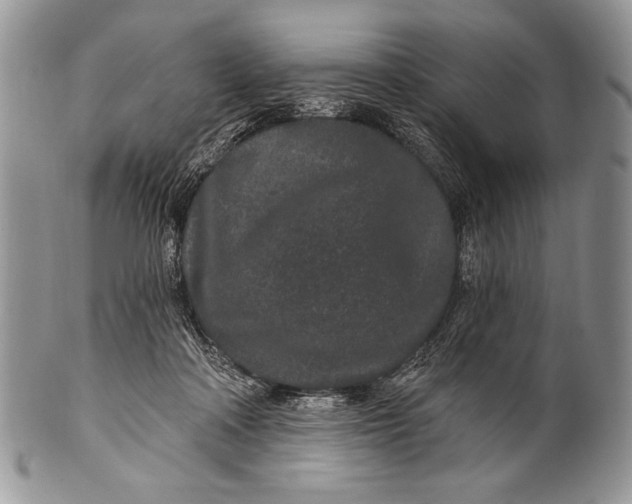 X0000100360314200806201610