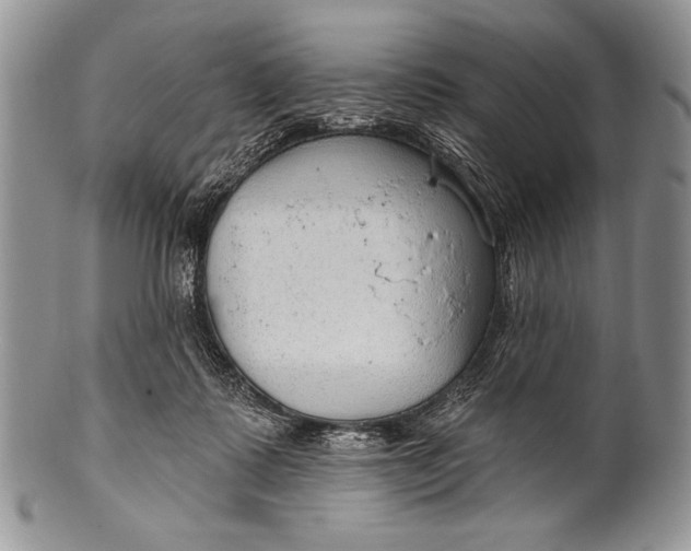 X0000100360315200806201610